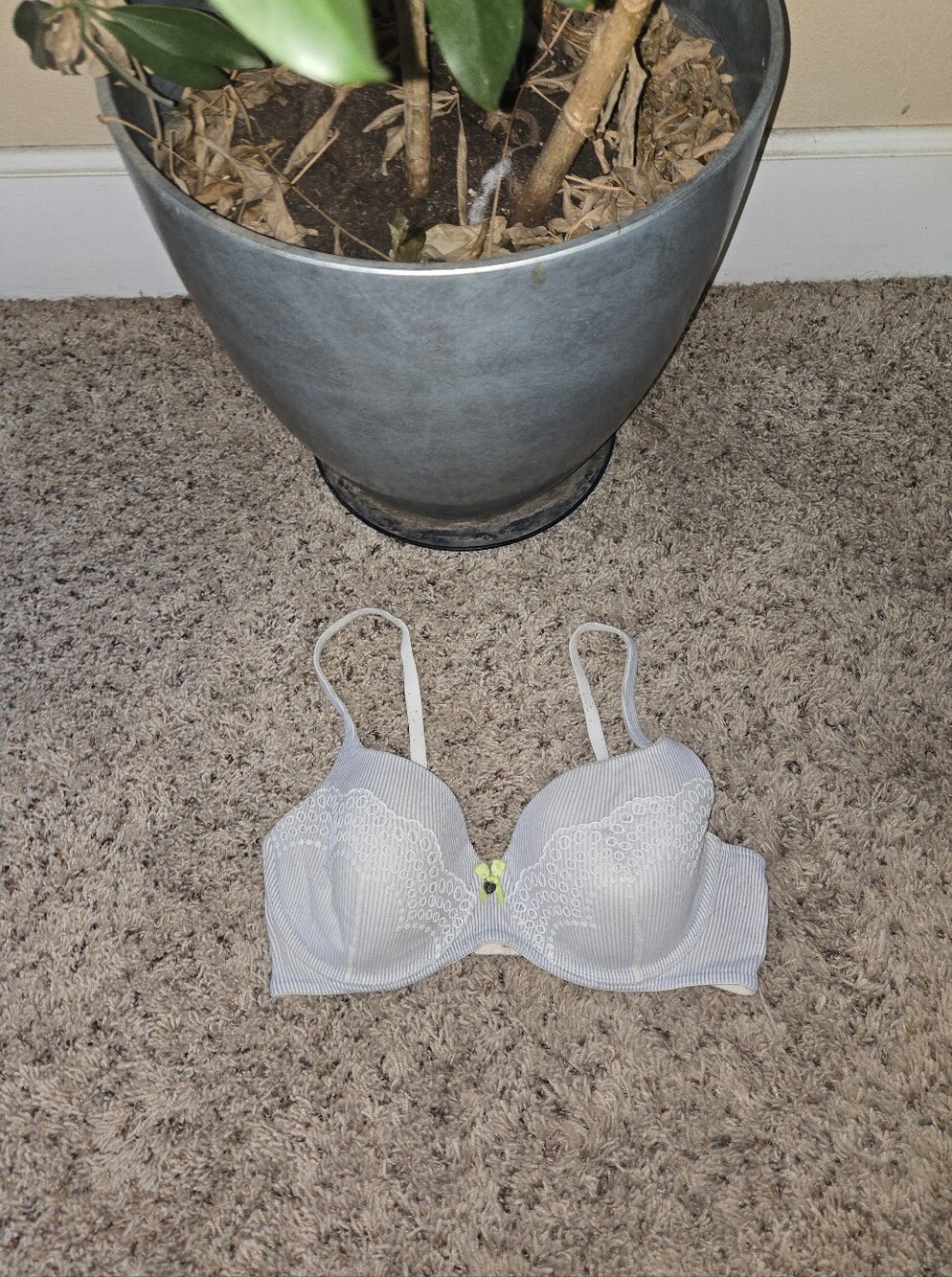 Victoria's Secret Body by Victoria Lined Demi Bra 36D